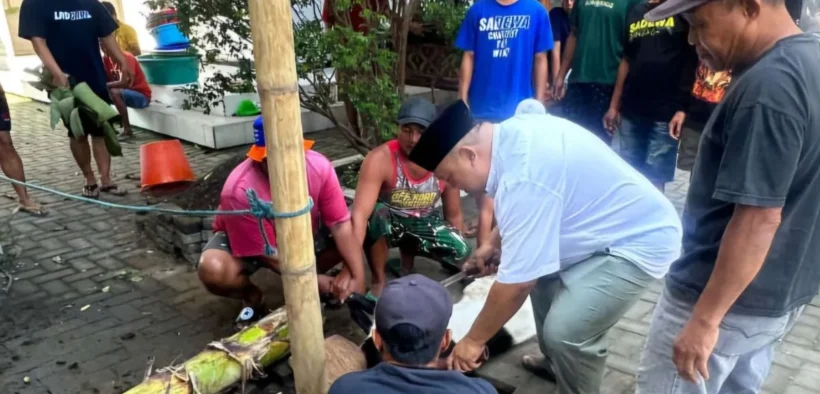 PKB Jawa Timur bersama seluruh Dewan Pimpinan Cabang (DPC) PKB kabupaten/kota se-Jatim menyalurkan lebih dari 1.000 ekor hewan kurban.