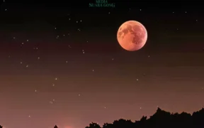 Langit malam pada Rabu (11/6) menjadi panggung istimewa bagi fenomena alam langka yang dikenal sebagai Strawberry Moon atau Bulan Stroberi