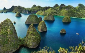 Data resmi dari Kementerian ESDM, mencatat 5 perusahaan tambang yang memiliki izin resmi untuk beroperasi di kepulauan Raja Ampat