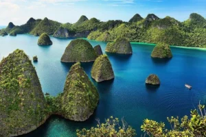 5 Perusahaan Tambang Beroperasi di Raja Ampat