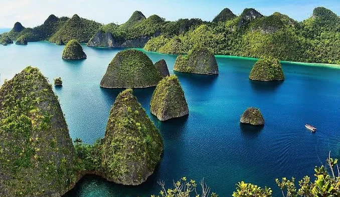 Data resmi dari Kementerian ESDM, mencatat 5 perusahaan tambang yang memiliki izin resmi untuk beroperasi di kepulauan Raja Ampat