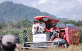 Wakil Menteri (Wamen) Pertanian Republik Indonesia, Sudaryono, melakukan kunjungan kerja ke Kabupaten Jember, Jumat (24/7/2025)