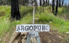 Mulai Tanggal 21 Juli 2025, Jalur pendakian Bremi di Kawasan Gunung Argopuro, Kecamatan Krucil, Kabupaten Probolinggo dibuka untuk umum