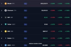 CoinMarketCap Q2 2025 Bitcoin Ngegas