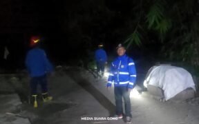 Petugas Damkar sedang melakukan penangkapan monyet liar