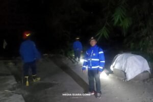Teror Monyet Liar Berujung Sayembara Berhadiah