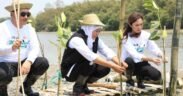 Khofifah indah parawansa menanam tanaman mangrove demi perlindungan mangrove Jawa Timur