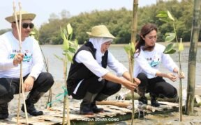 Khofifah indah parawansa menanam tanaman mangrove demi perlindungan mangrove Jawa Timur
