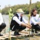 Khofifah indah parawansa menanam tanaman mangrove demi perlindungan mangrove Jawa Timur