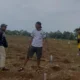Perumda Perkebunan Panglungan, Wonosalam Jombang, kini mulai bangkit usai sempat terguncang kasus korupsi lewat Budidaya Pertanian