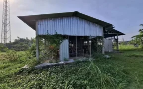 Badan Usaha Milik Desa Bersama (BUMDesma) Kecamatan Jombang, yang berlokasi di Desa Denanyar, terlihat tak terurus dan terbengkalai sejak tahun 2022.
