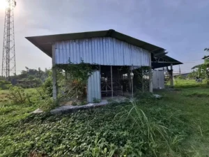 Sedot Dana Miliaran Rupiah, BUMDesma Denanyar Mangkrak