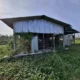Badan Usaha Milik Desa Bersama (BUMDesma) Kecamatan Jombang, yang berlokasi di Desa Denanyar, terlihat tak terurus dan terbengkalai sejak tahun 2022.