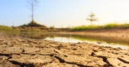 BPBD Kabupaten Malang melaporkan adanya potensi kekeringan akibat musim kemarau pada bulan Agustus, September, hingga Oktober 2025.