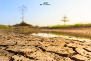 Waspada, BPBD Kabupaten Malang Prediksi Potensi Kekeringan