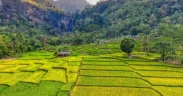 Mulai tahun ini, pemilik lahan tanah bersertifikat yang tak memanfaatkan lahannya selama 2 tahun berturut-turut harus bersiap diambil negara.
