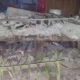 Warga Kabupaten Poso, Sulawesi Tengah, dikejutkan dengan guncangan gempa bumi yang cukup kuat pada Kamis (24/7).