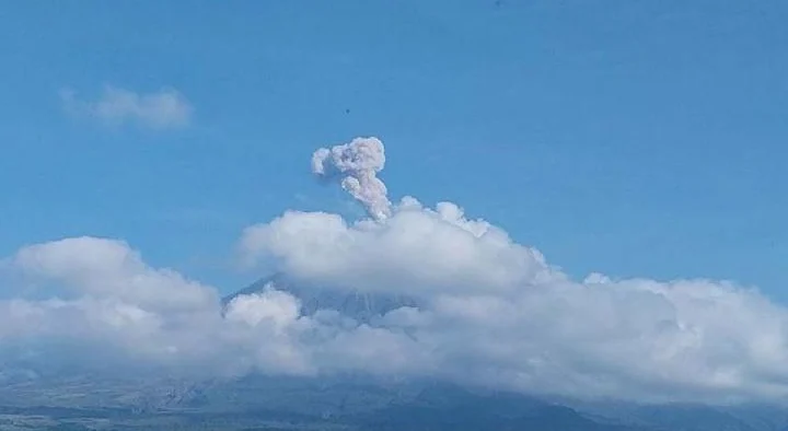 Gunung Semeru erupsi dengan tinggi letusan 800 meter di atas puncak 4 Agustus 2025. ANTARA/HO-PVMBG