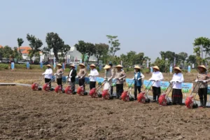 Polda Jatim Gandeng Santri Tanam Jagung Serentak