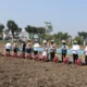 Polda Jawa Timur menggelar kegiatan Penanaman Jagung Serentak bersama para santri di pondok pesantren se-Indonesia.