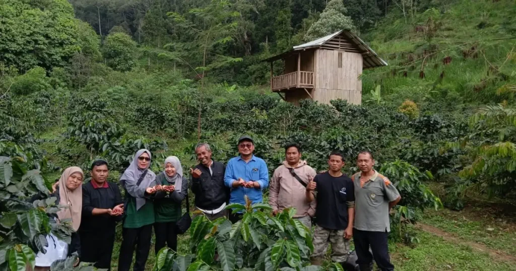Pemerintah Kabupaten Probolinggo melalui Dinas Pertanian bersama Tim TP2D meninjau kebun kopi di Kecamatan Krucil, Jumat (8/8/2025).