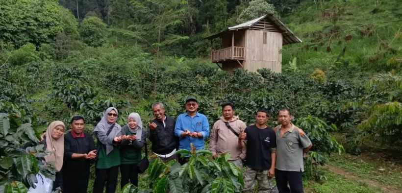 Pemerintah Kabupaten Probolinggo melalui Dinas Pertanian bersama Tim TP2D meninjau kebun kopi di Kecamatan Krucil, Jumat (8/8/2025).