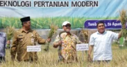 Program Bupati Jombang Bernama Bapak Asuh Petani yang akan membantu pertanian Jombang