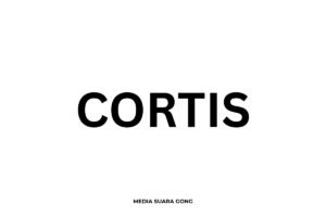 CORTIS Debut BigHit Music Rilis Boy Group Kekinian