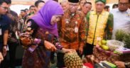 Khofifah indar parawansa memotong buah nanas dalam Misi Dagang Jatim Lampung