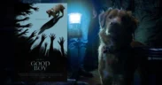 Film produksi Shudder berjudul Good Boy mejadi salah satu film horor unik tahun ini yang mana menyaksikan horor lewat sudut mata anjing!