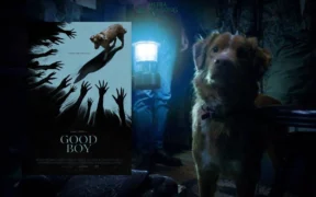Film produksi Shudder berjudul Good Boy mejadi salah satu film horor unik tahun ini yang mana menyaksikan horor lewat sudut mata anjing!