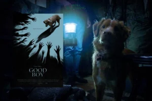 Film Horor dari Sudut Pandang Anjing: “Good Boy”