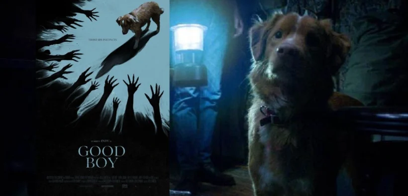 Film produksi Shudder berjudul Good Boy mejadi salah satu film horor unik tahun ini yang mana menyaksikan horor lewat sudut mata anjing!