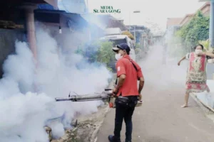 Waspada Chikungunya! 71 Kasus Ditemukan di Kabupaten Malang