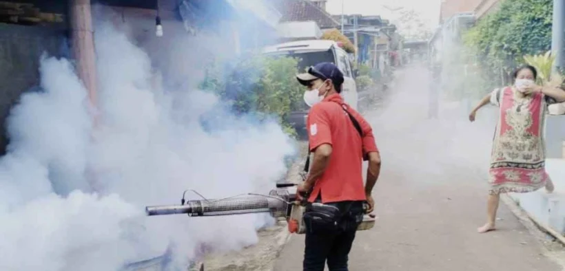 Waspada Chikungunya! 71 Kasus Ditemukan di Kabupaten Malang