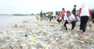 Kementerian Kelautan dan Perikanan (KKP) mengungkapkan, bahwa Setiap tahun, diperkirakan ada 20 juta ton sampah yang mengalir ke laut