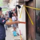 seorang pengemudi ojek online (ojol) berinisial A tega membunuh sekaligus memutilasi kekasihnya sendiri, TAS (25), hingga 63 bagian. 