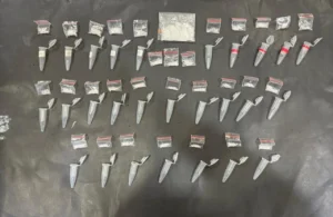 Pengedar 30 Poket Sabu di Bululawang Diringkus Polisi