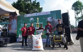 Kontes Kambing dan Domba 2025 Dibuka oleh Wali Kota Batu