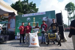 Kontes Kambing dan Domba 2025, Dibuka Langsung oleh Wali Kota Batu