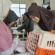 Ratusan Hewan Peliharaan Mendapatkan Vaksinasi Rabies Gratis 