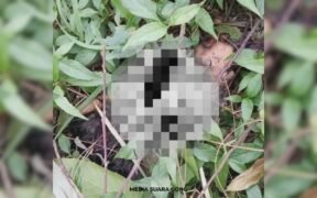 kasus mutilasi Mojokerto pacet