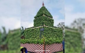 Tradisi Syukuran Gedang Sumberjo