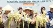 Upaya menjaga ketahanan pangan di Jombang kembali digelorakan lewat panen raya jagung di Desa Keras, Kecamatan Diwek, Sabtu (27/9/2025)