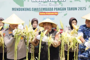 Warsubi Tegaskan Komitmen Pangan Lewat Panen Jagung