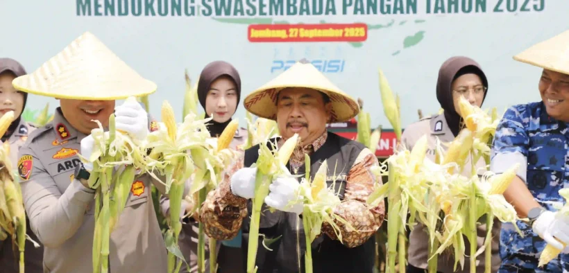 Upaya menjaga ketahanan pangan di Jombang kembali digelorakan lewat panen raya jagung di Desa Keras, Kecamatan Diwek, Sabtu (27/9/2025)