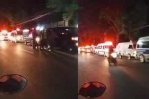Pohon Tumbang di Condong, Probolinggo Sebabkan Kabel PLN Rusak