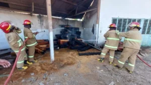 Tumpukan Kayu Terbakar di Wonoasih Kota Probolinggo