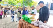 Anggota DPR RI FPKB Hasanuddin Wahid