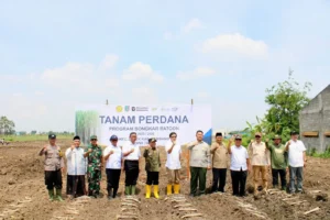 Pemkab Jombang dan PT SGN Gelar Tanam Perdana Tebu Bongkar Ratoon 2025